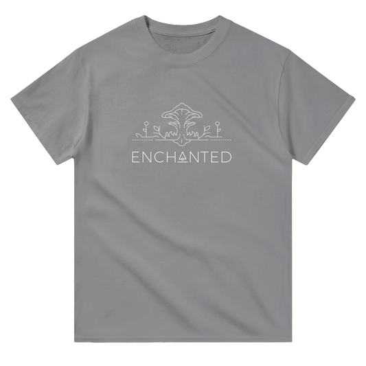 Enchanted - Expand - Uplift - Transform