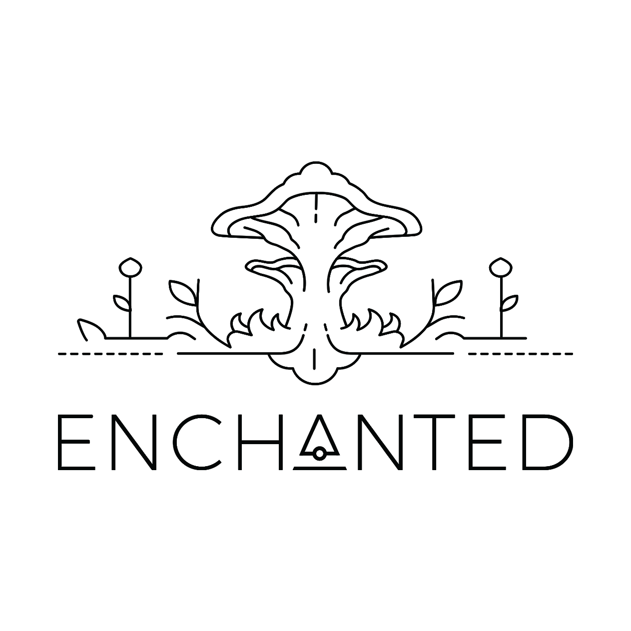 Enchanted - Expand - Uplift - Transform